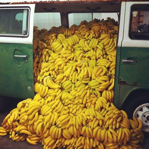 Hundreds of bright yellow bananas spill from a truck with green sliding doors.